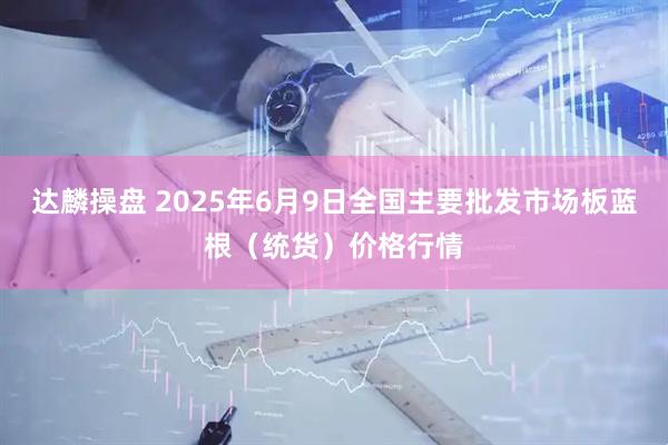 达麟操盘 2025年6月9日全国主要批发市场板蓝根（统货）价格行情