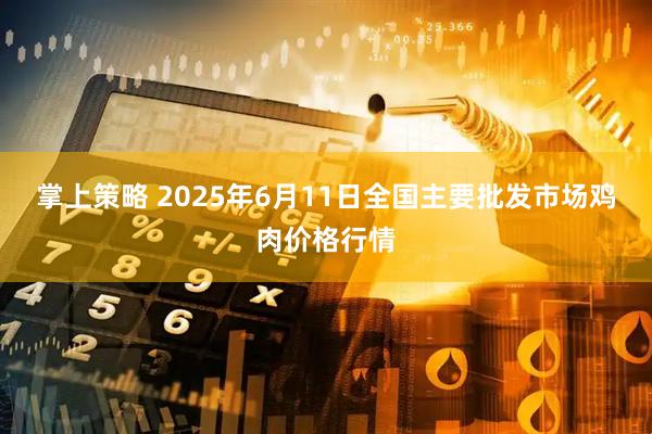 掌上策略 2025年6月11日全国主要批发市场鸡肉价格行情
