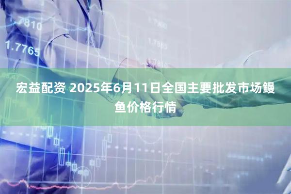 宏益配资 2025年6月11日全国主要批发市场鳗鱼价格行情