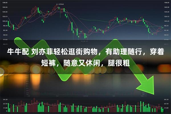 牛牛配 刘亦菲轻松逛街购物，有助理随行，穿着短裤，随意又休闲，腿很粗