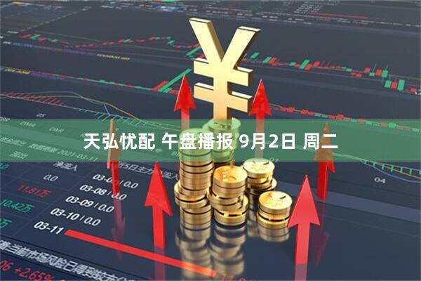 天弘忧配 午盘播报 9月2日 周二