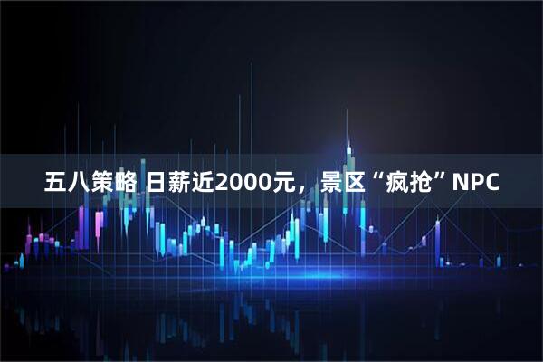五八策略 日薪近2000元,景区“疯抢”NPC